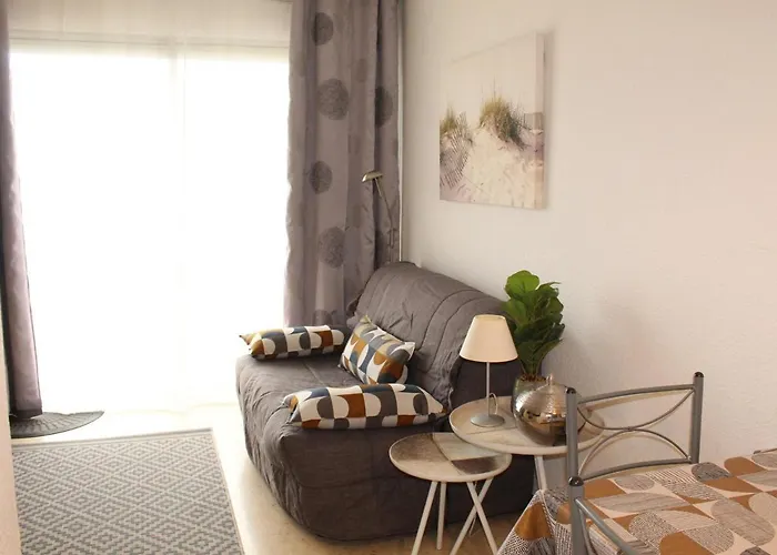 Apartmán Confortable A - Animaux Admis - Fr-1-503-19 *