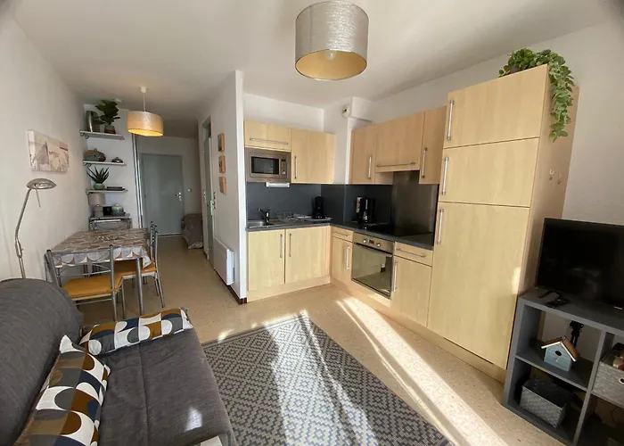 Apartmán Confortable A - Animaux Admis - Fr-1-503-19 Balaruc-les-Bains