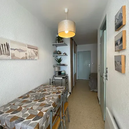 ⭐⭐ Face A L'etang De Thau, Proche Thermes, Balcon Et Animaux Bienvenus - Fr-1-503-19